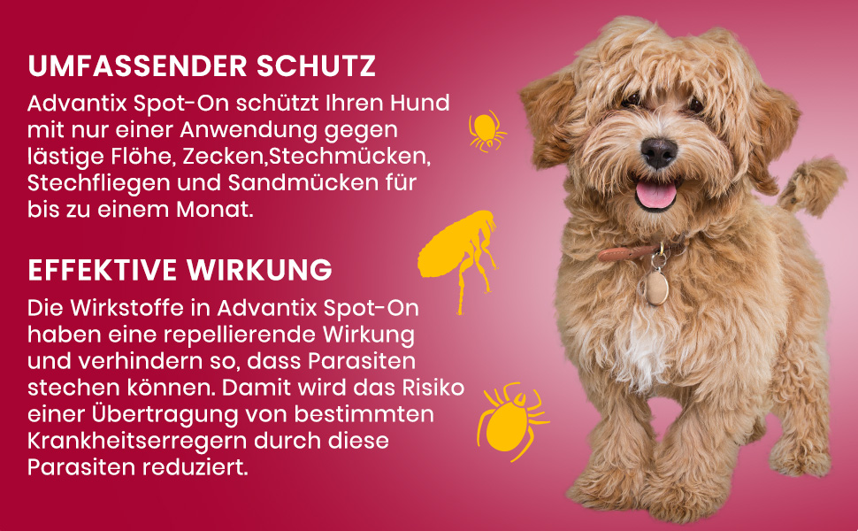 Hund mit Text: Umfassender Schutz. Effektive Wirkung. Advantix Spot-On.