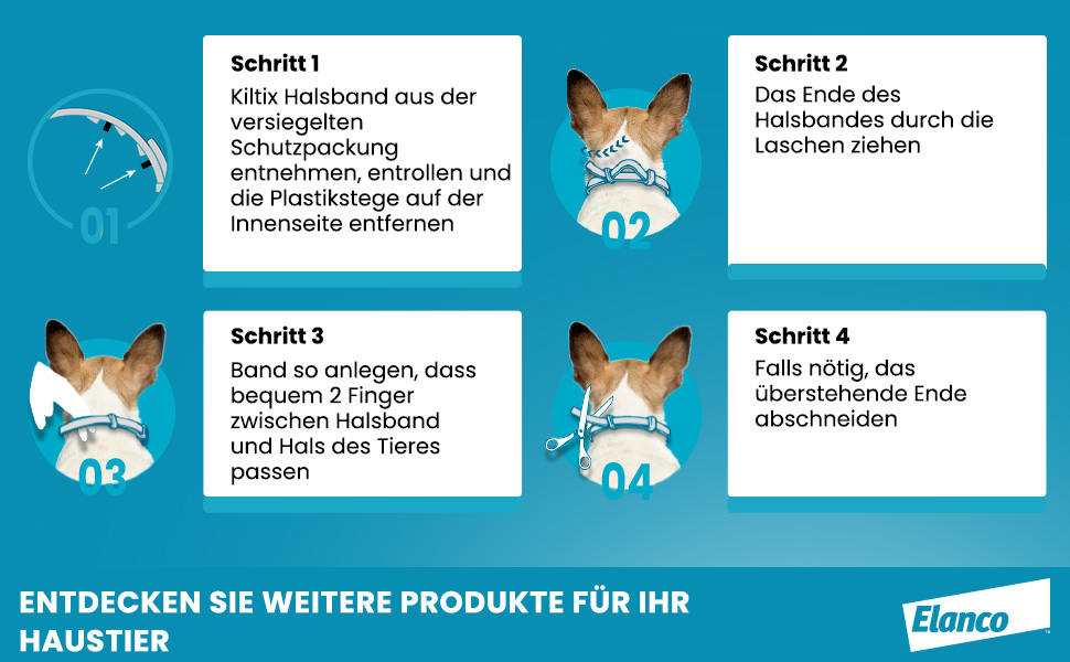 Anleitung zur Anwendung des Halsbandes. Schritte 1-4 mit Illustrationen und Text.