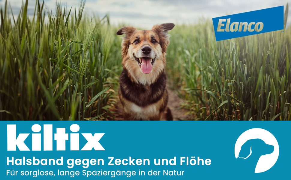 Hund in hohem Gras. Text: Kiltix Halsband gegen Zecken und Flöhe. Für sorglose, lange Spaziergänge in der Natur.