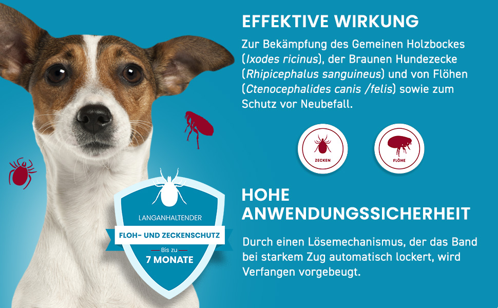 Hund mit Text. Text: Effektive Wirkung. Hohe Anwendungssicherheit. Lang anhaltender Floh- und Zeckenschutz.