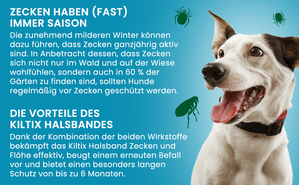 Hund mit Text. Text: Zecken haben Saison. Vorteile des Kiltix Halsbandes. Schutz bis zu 7 Monaten.