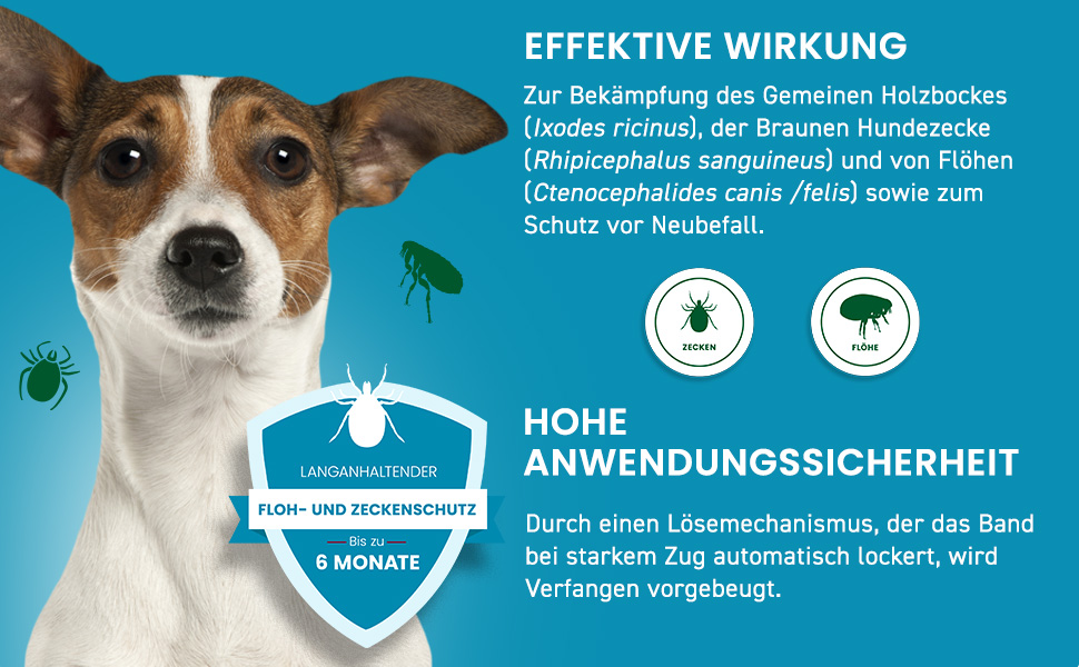 Hund mit Text. Text: Effektive Wirkung. Hohe Anwendungssicherheit. Schutz vor Zecken und Flöhen bis zu 6 Monaten.