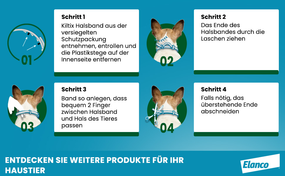 Anleitung zum Anlegen des Halsbands. 4 Schritte mit Illustrationen und Text. Elanco Logo.