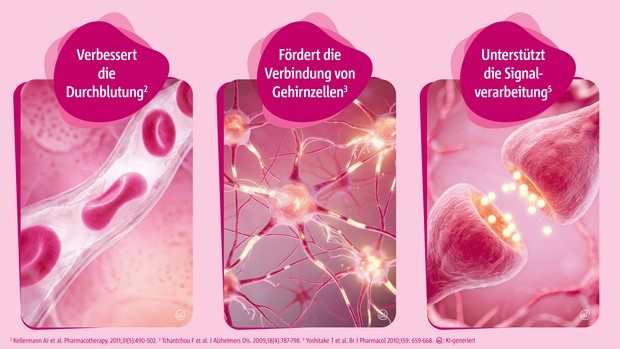 Tebonin® konzent® 240 mg Verpackung mit rotem Streifen, Gehirnsymbol und Ginkgoblatt-Symbol.
