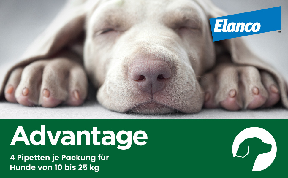 Hund schläft. Elanco Logo. Advantage Spot-On für Hunde von 10 bis 25 kg. 4 Pipetten pro Packung.