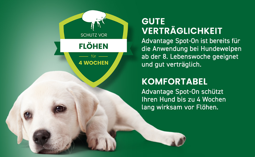 Schutz vor Flöhen für 4 Wochen. Gute Verträglichkeit. Komfortabel. Hund abgebildet.