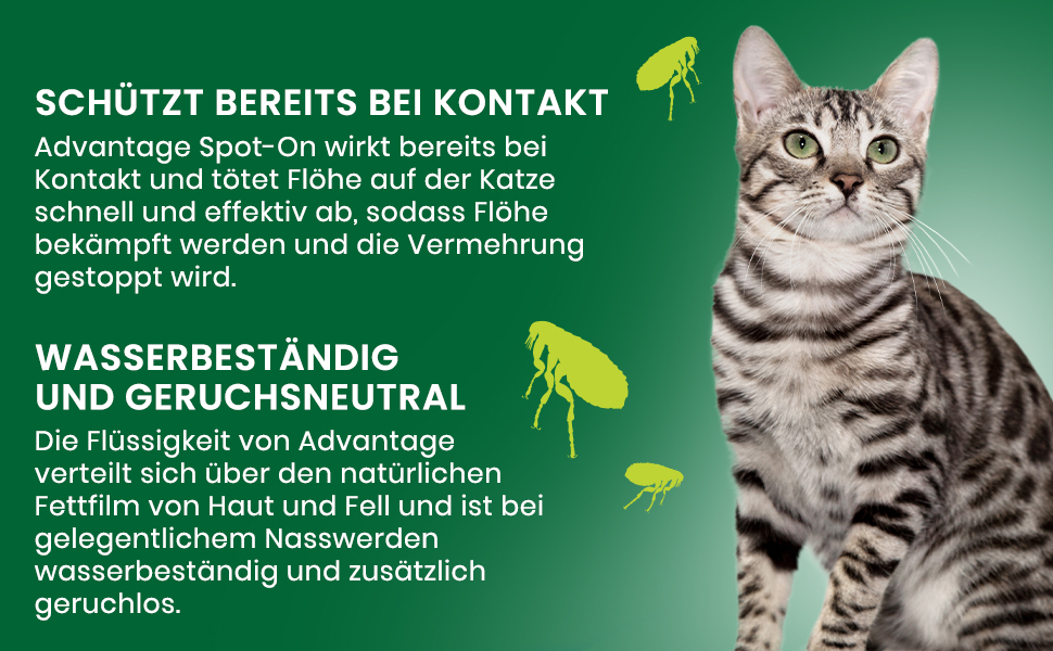 Katze mit Text. Schützt bei Kontakt, wasserbeständig, geruchsneutral. Vorteil Spot-On.