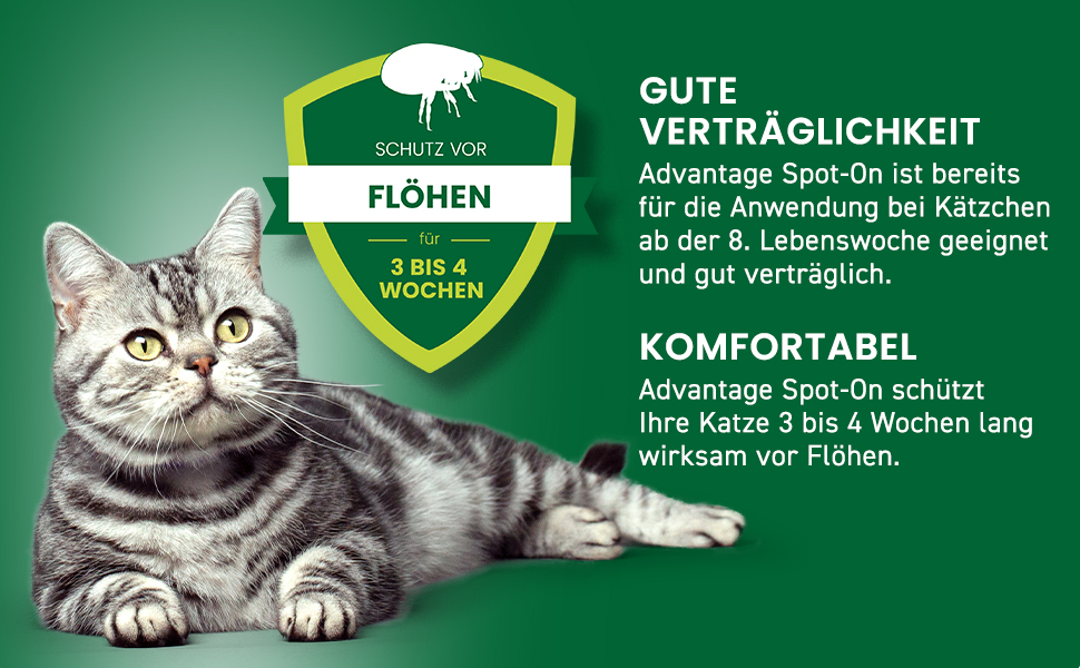 Katze mit Text. Gute Verträglichkeit, komfortabel. Schützt 3-4 Wochen vor Flöhen. Advantage Spot-On.