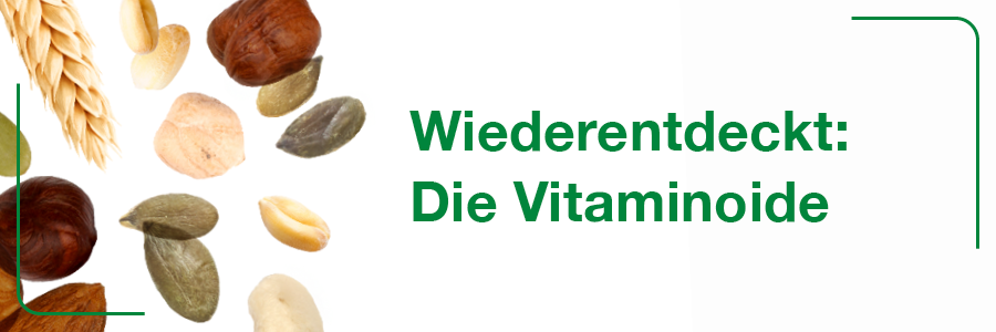 Verpackung von Vitamin B-Loges komplett mit 120 Filmtabletten.