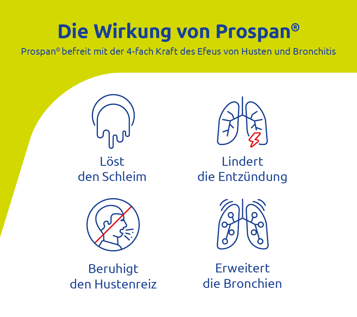 Grafik mit Symbolen und Text. Informationen über die Wirkung des Produkts.