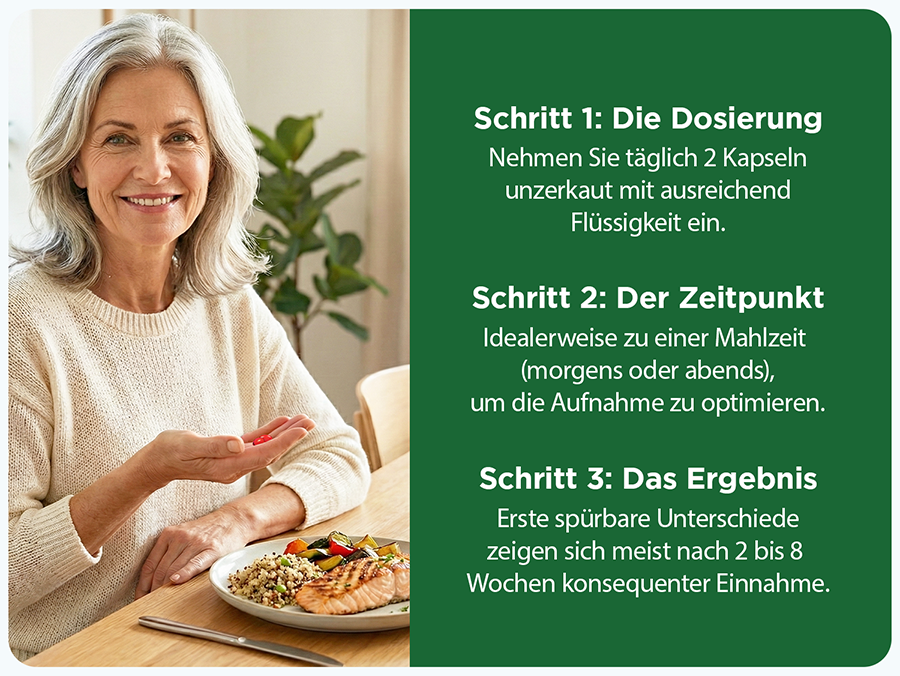 Anleitung: 2 Kapseln täglich unzerkaut. Einnahme zu einer Mahlzeit. Ergebnisse nach Wochen.