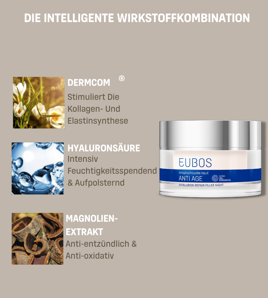 Creme-Tiegel. Text: Die intelligente Wirkstoffkombination. Icons: DermCom, Hyaluronsäure, Magnolienextrakt.