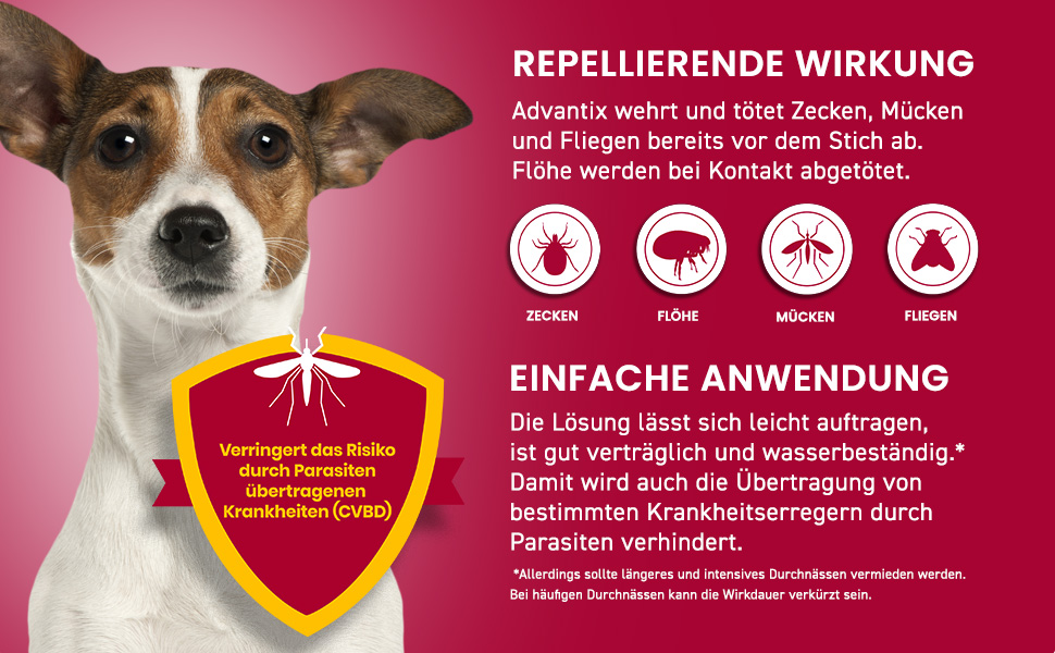 Hund auf rotem Hintergrund. Advantix wehrt Zecken, Mücken und Fliegen ab. Tötet Flöhe bei Kontakt. CVBD-Risiko.