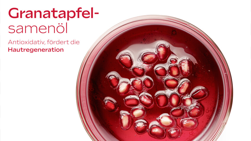 Granatapfel-Samenöl. Text: Antioxidativ, fördert die Hautregeneration.