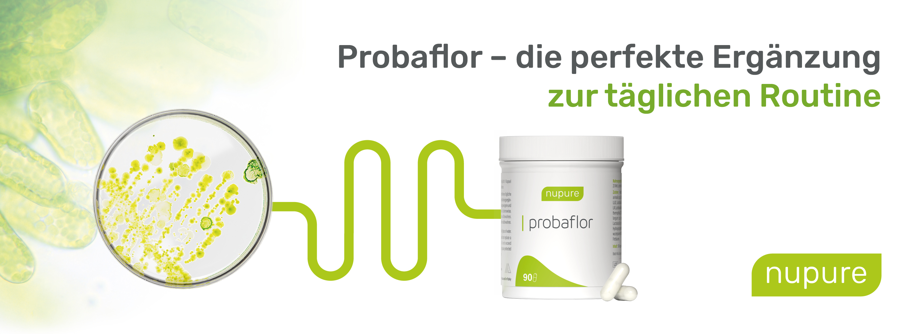 Produktflasche und Kapseln neben einer Darstellung von Bakterien. Text: Probaflor – die perfekte Ergänzung zur täglichen Routine.