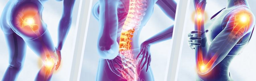 Illustration von Gelenken und Wirbelsäule, rot markiert. Bereiche mit Schmerzen hervorgehoben.