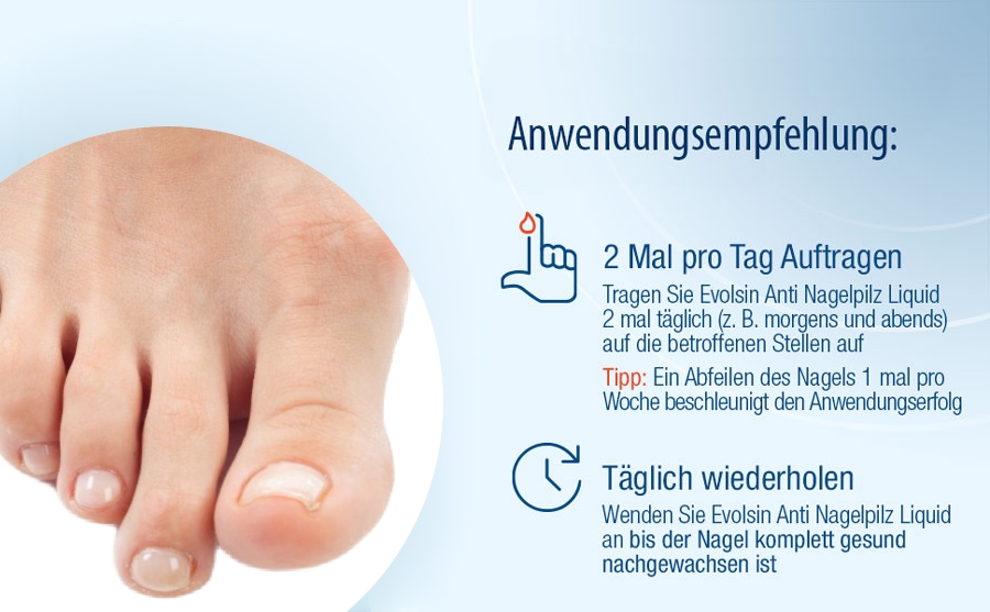 Anwendungsempfehlung für Evolsin Anti Nagelpilz Liquid: 2 Mal täglich auftragen. Tägliches Wiederholen bis der Nagel gesund nachgewachsen ist.