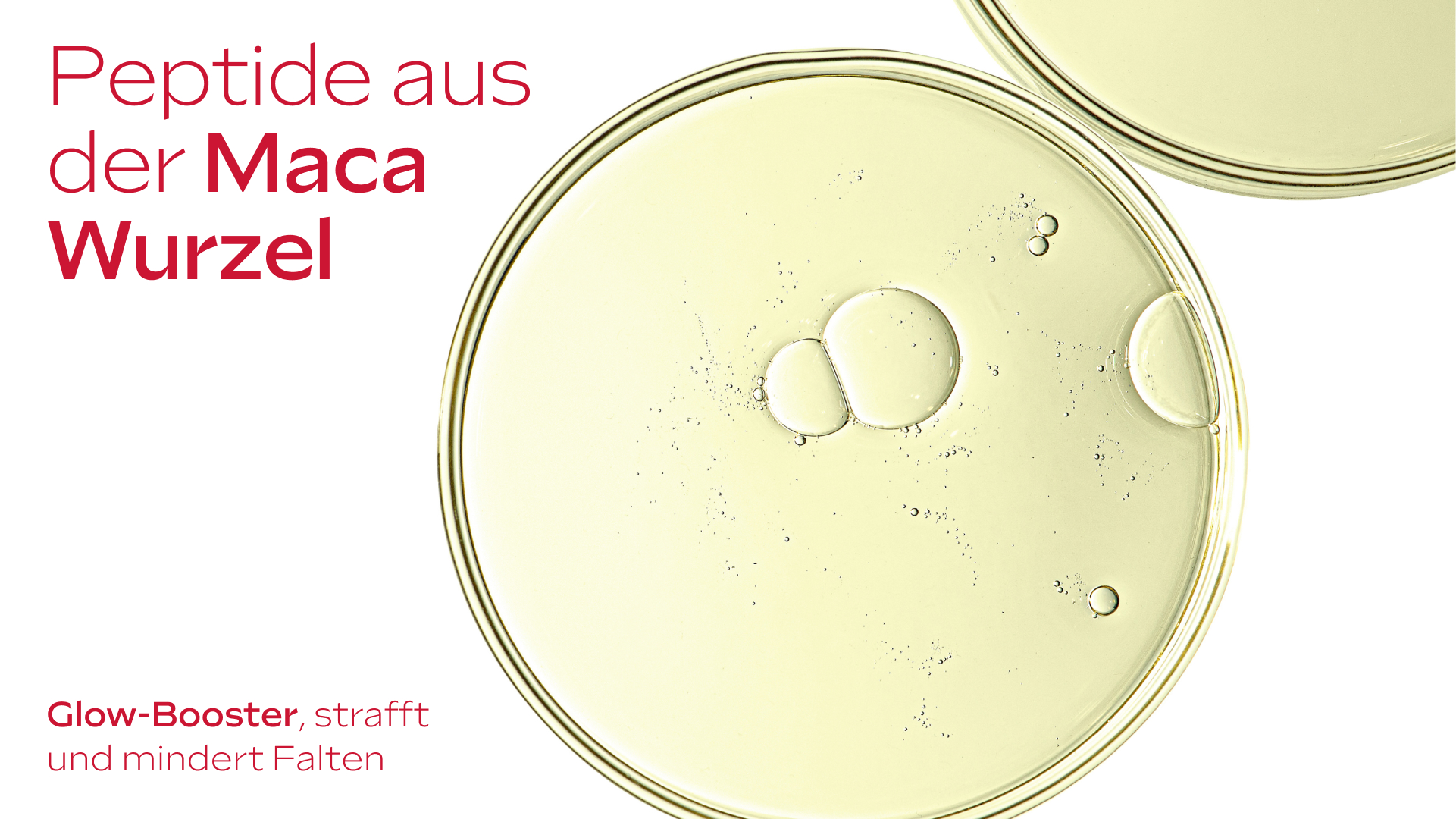 Peptide aus der Maca-Wurzel in Schale. Text: Glow-Booster, strafft und mindert Falten.
