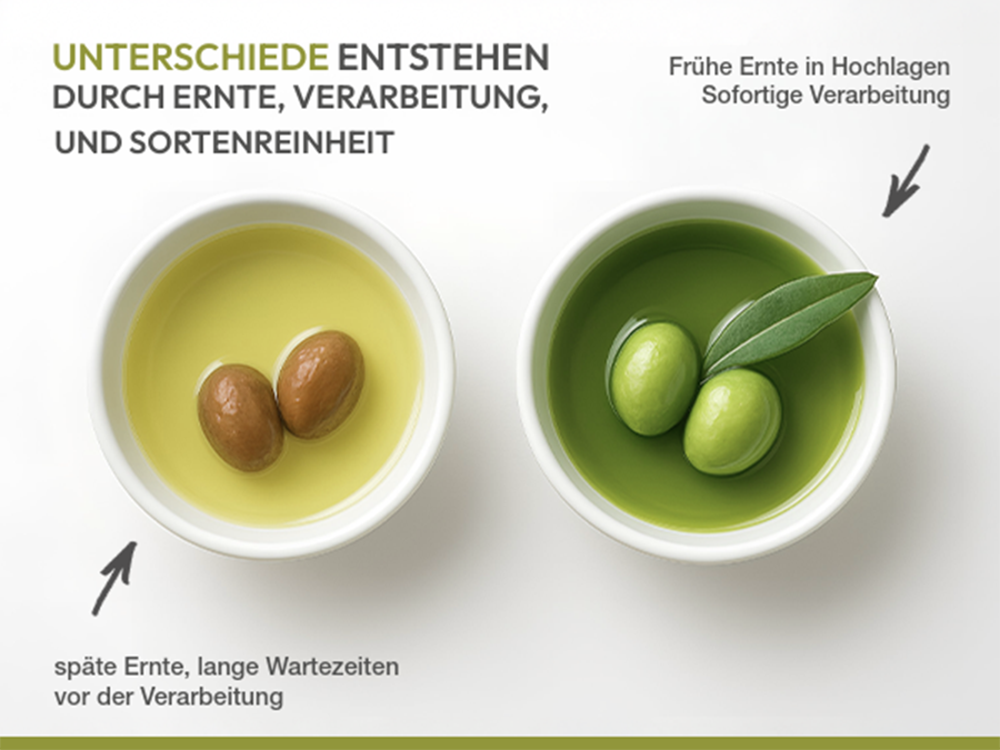 Schalen mit Olivenöl. Text: Unterschiede entstehen durch Ernte, Verarbeitung, und Sortenreinheit.