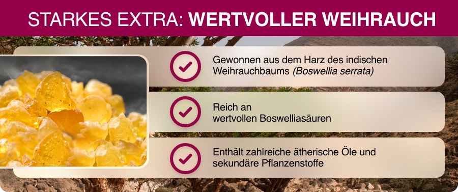 Grafik mit Kapsel. Text: Vitamin D trägt zur normalen Muskelfunktion bei. Vitamin C für Knorpel und Knochen. Mangan für Bindegewebe.