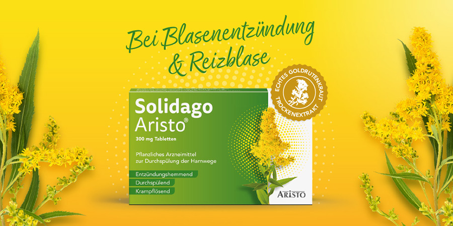 Solidago Aristo® Packung mit Goldrutenblüten und Text zu Blasenentzündung.