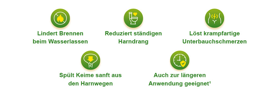 Fünf grüne Kreise mit Symbolen und Texten zu Symptomen und Anwendung.