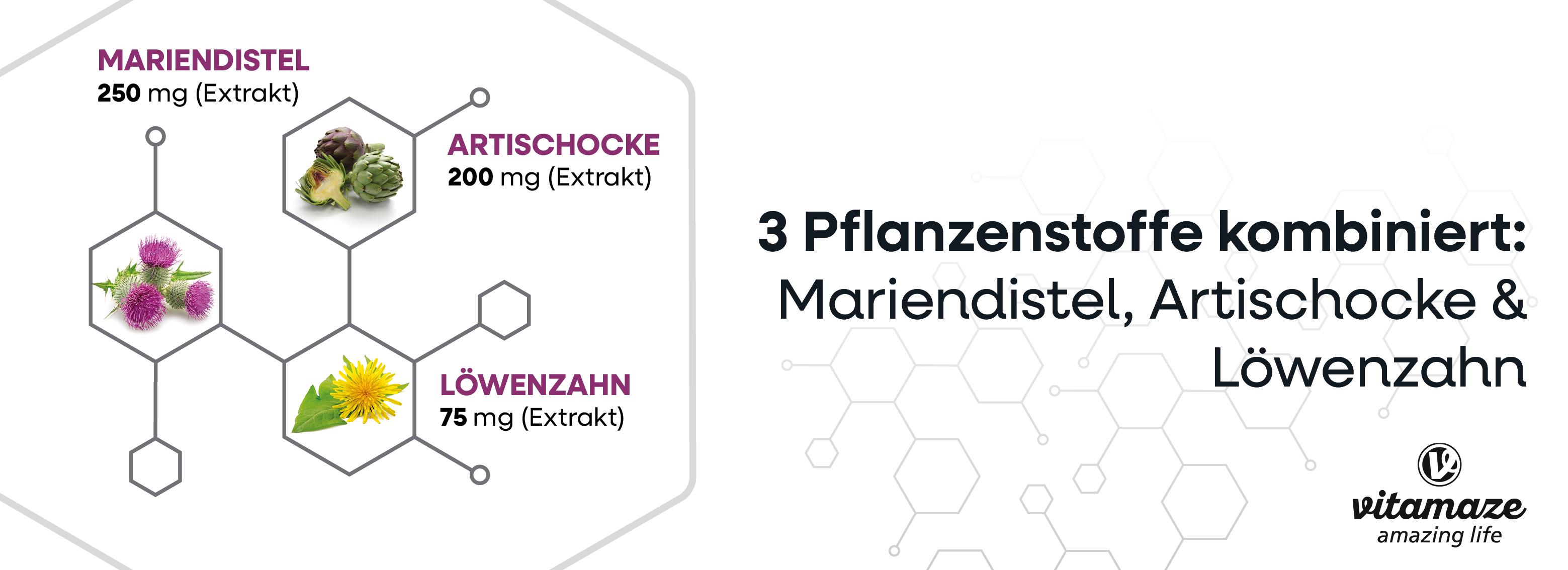Grafik mit Inhaltsstoffen: Mariendistel, Artischocke, Löwenzahn. Mengen in mg.