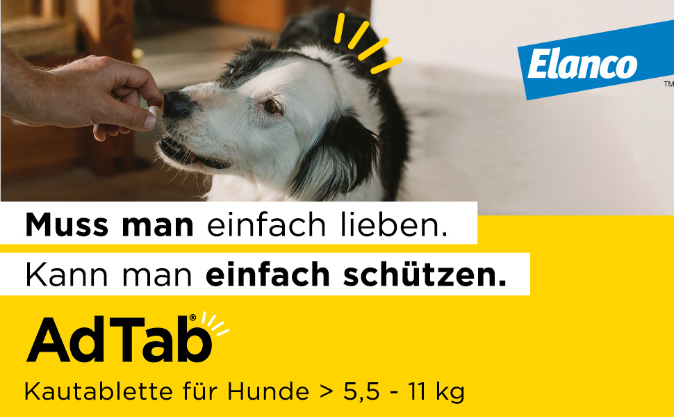 Gelber Hintergrund mit Text und AdTab-Logo. Kautablette für Hunde > 5,5 - 11 kg. Hund.