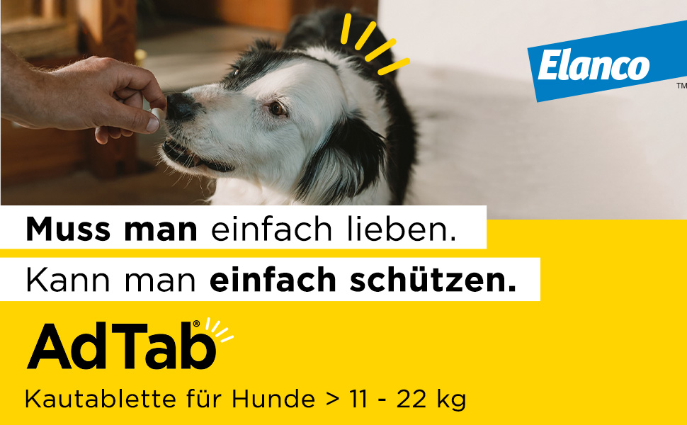 Gelber Hintergrund mit Text und Hund. AdTab Kautablette für Hunde > 11 - 22 kg. Text: Muss man einfach lieben. Kann man einfach schützen.