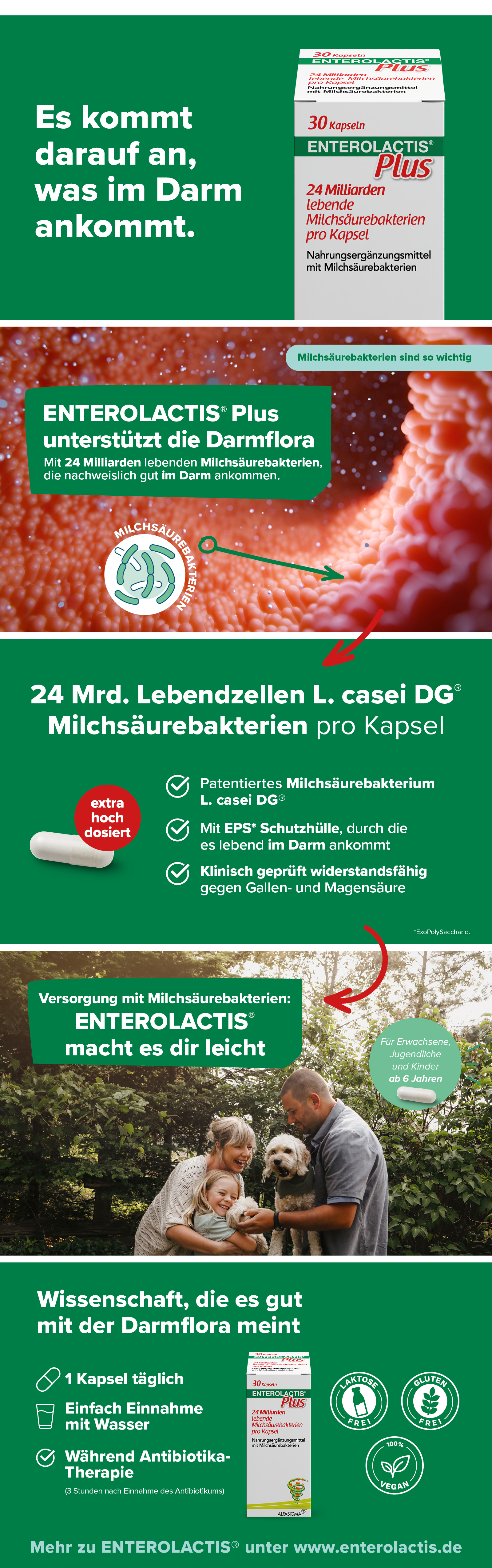 Infografik: Enterolactis Plus unterstützt die Darmflora. Wissenschaft, Einnahme, Inhaltsstoffe.