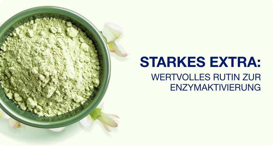 Grüne Schale mit Pulver. Text: Starkes Extra: Wertvolles Rutin zur Enzymaktivierung.