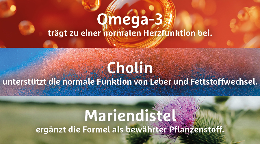 Drei Banner mit Texten: Omega-3, Cholin, Mariendistel. Beschreibungen der Inhaltsstoffe.