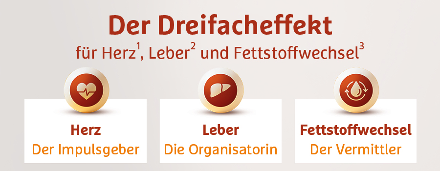 Drei Kreise mit Symbolen: Herz, Leber, Fettstoffwechsel. Texte: Der Impulsgeber, Die Organisatorin, Der Vermittler.