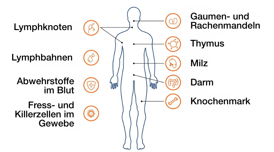 Orthomol