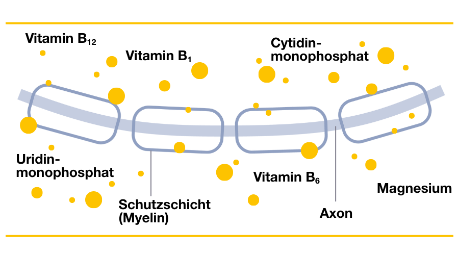 Orthomol