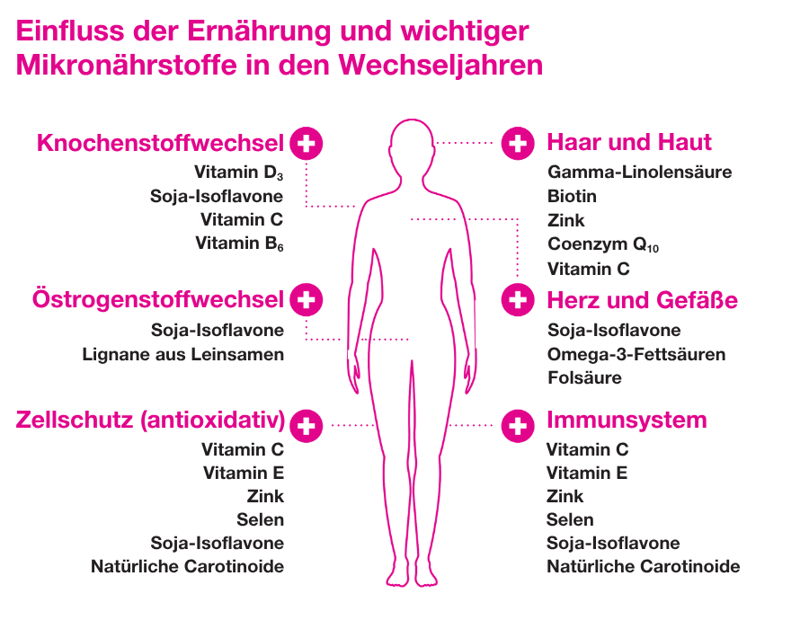 Grafik: Einfluss der Ernährung auf Wechseljahre. Körper mit Pfeilen auf Organe und Nährstoffe.