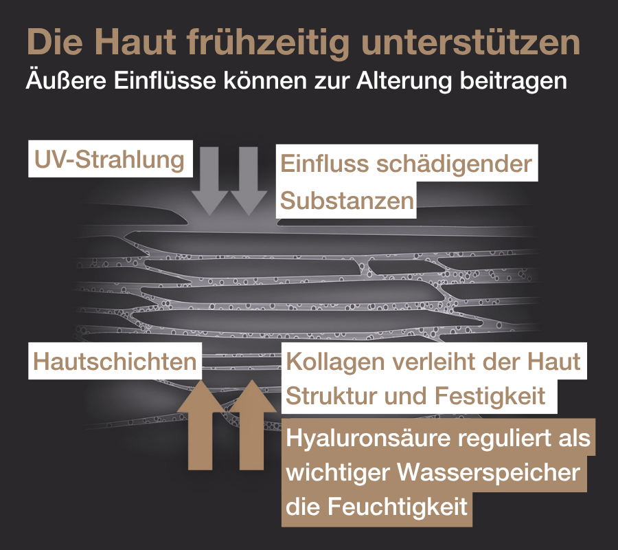 Hautschichten. Grafik, die die Auswirkungen von UV-Strahlung und anderen Faktoren zeigt.