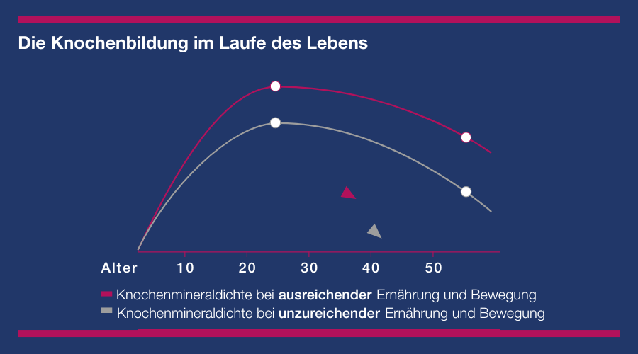 Tabelle: Wichtige Inhaltsstoffe und nutritive Eigenschaften. Vitamin D, Calcium, Vitamin K, C, Zink und Mangan.