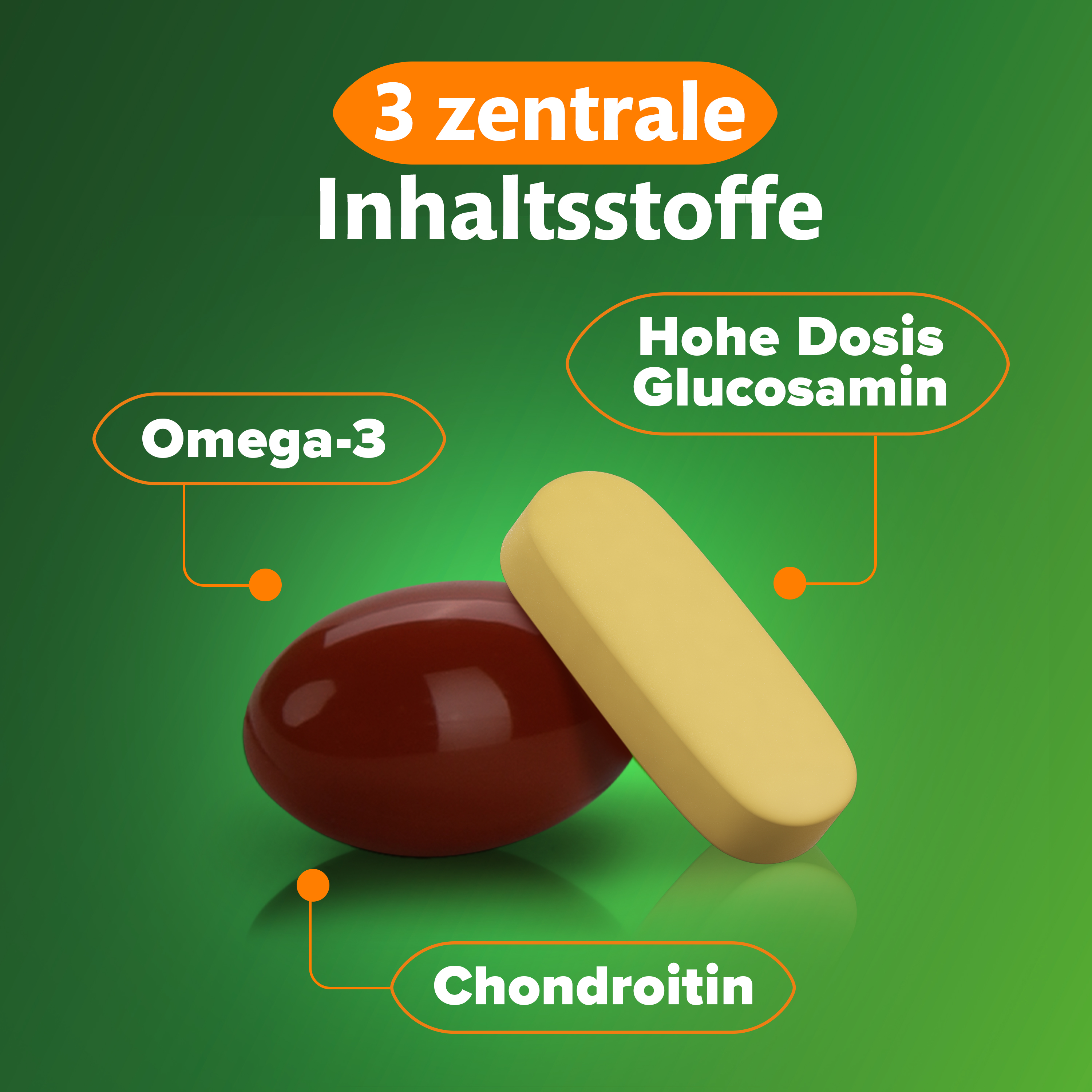 Hände halten jeweils eine Kapsel und eine Tablette, die täglich eingenommen werden.