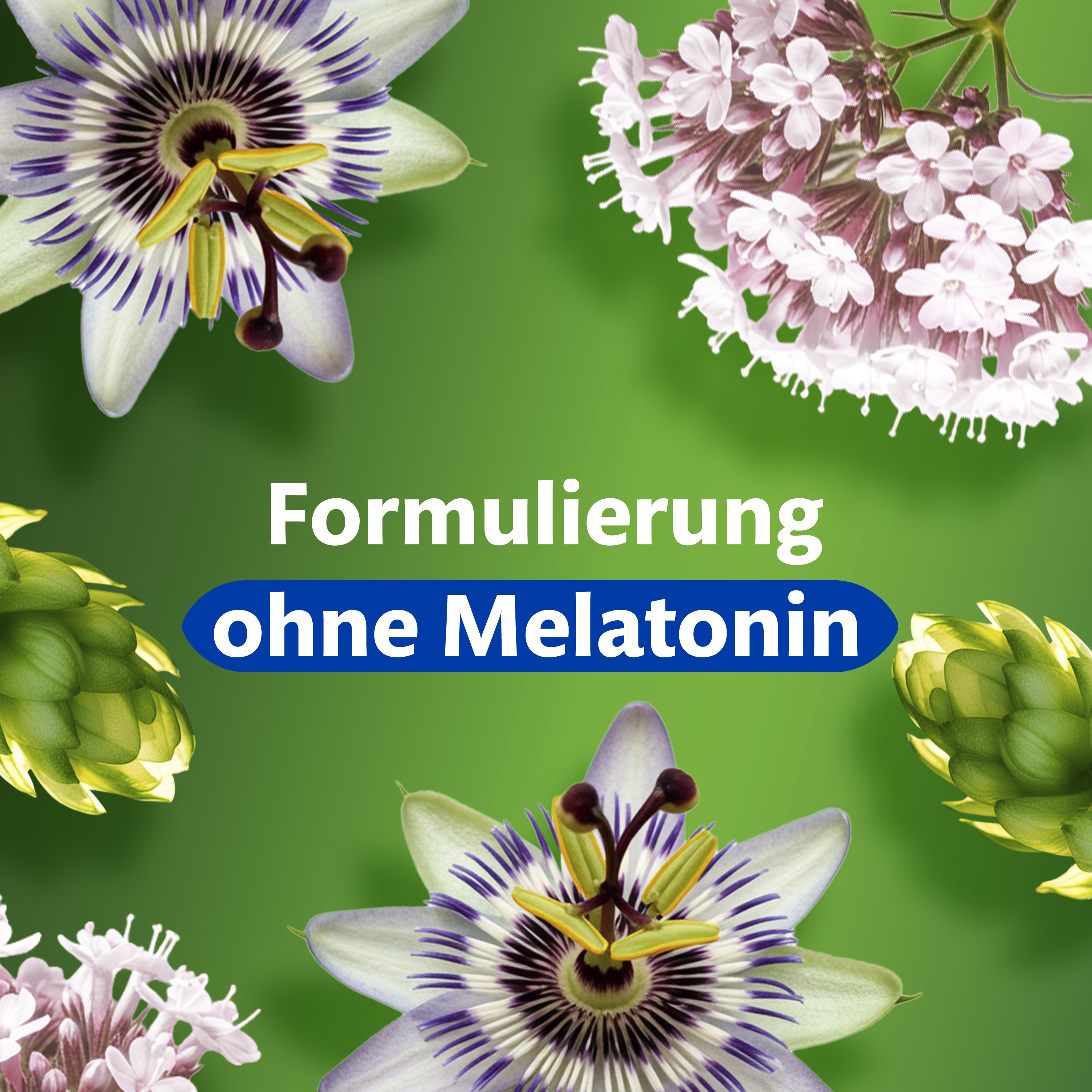 Blumen und Pflanzen. Text: Formulierung ohne Melatonin.