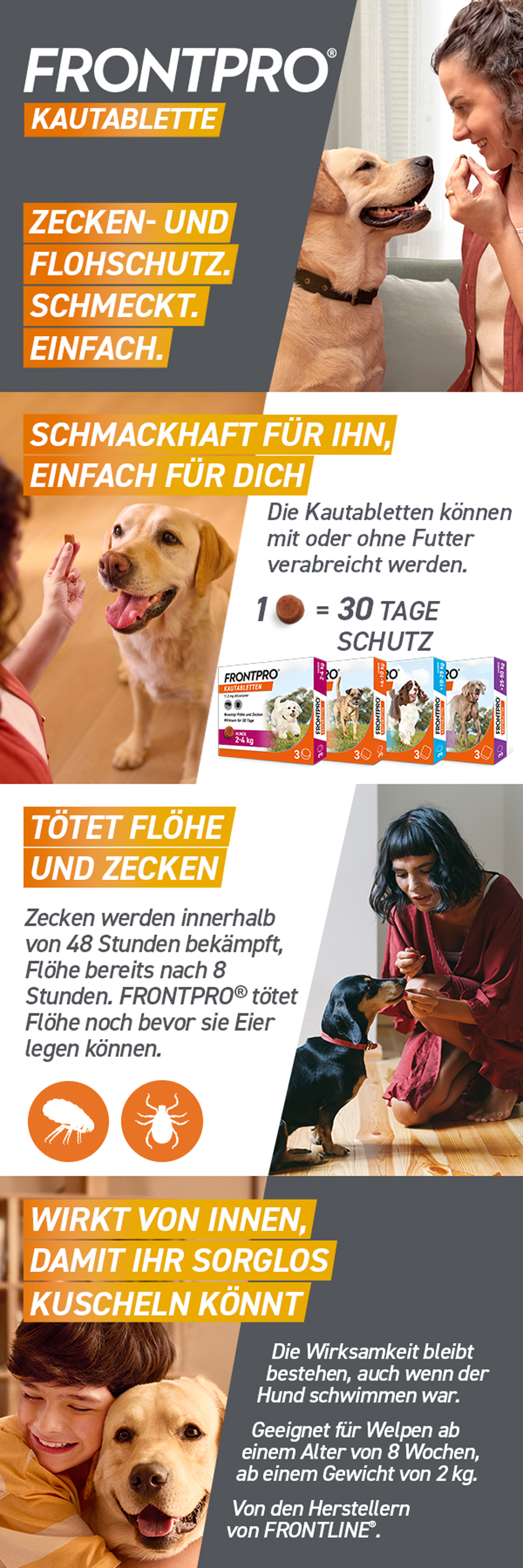 Infografik. FRONTPRO® Kautabletten. Text: Tötet Flöhe und Zecken. Wirkt von innen. Geeignet für Welpen.