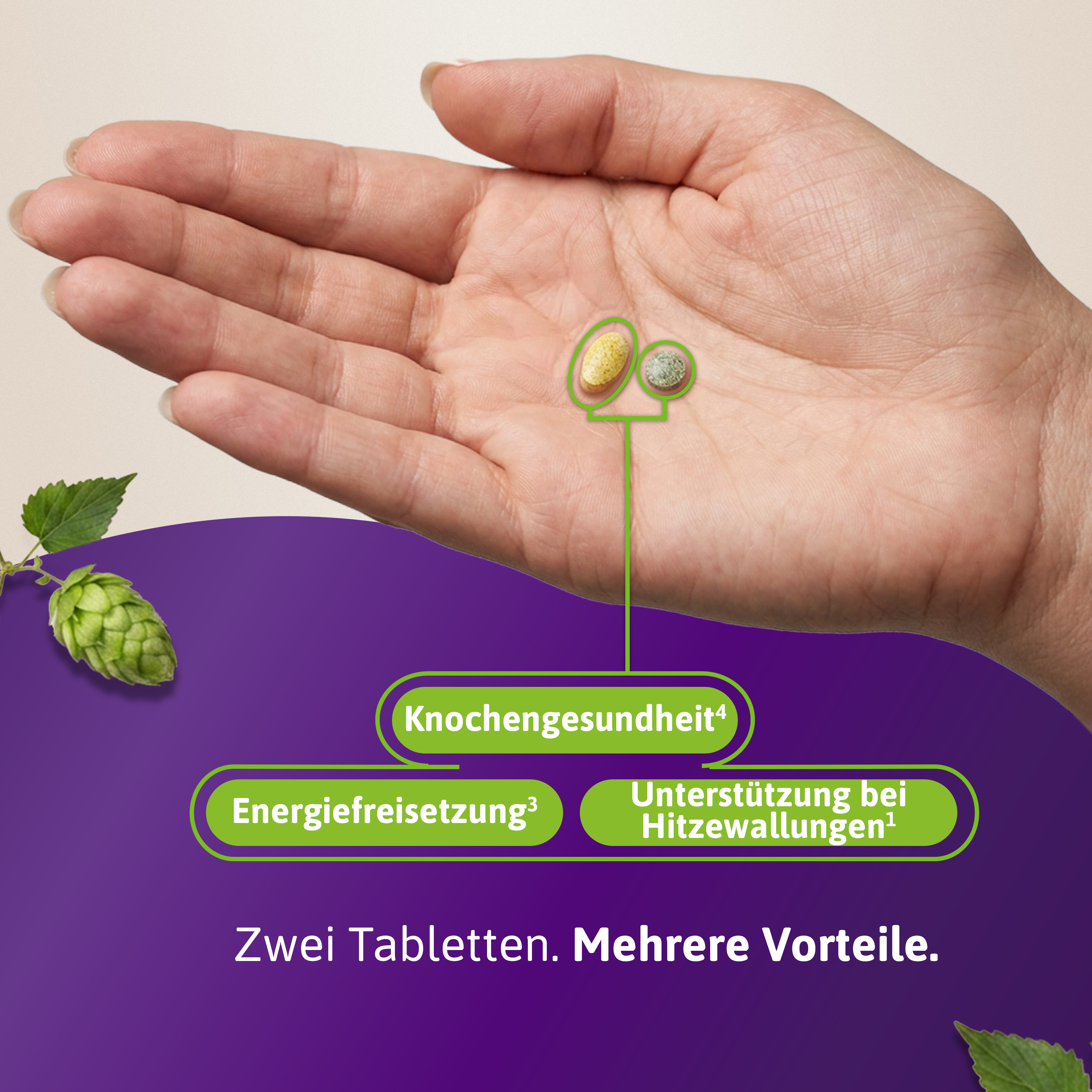 Drei Frauen in verschiedenen Situationen, daneben Hinweise zu B-Vitaminen, Hopfen und Vitamin D, K, Calcium.