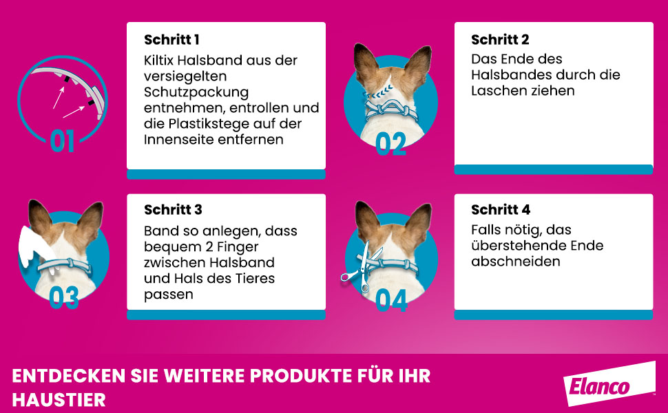 Anleitung: Kiltix Halsband anlegen. Schritte 1-4. Illustrationen mit Hund.