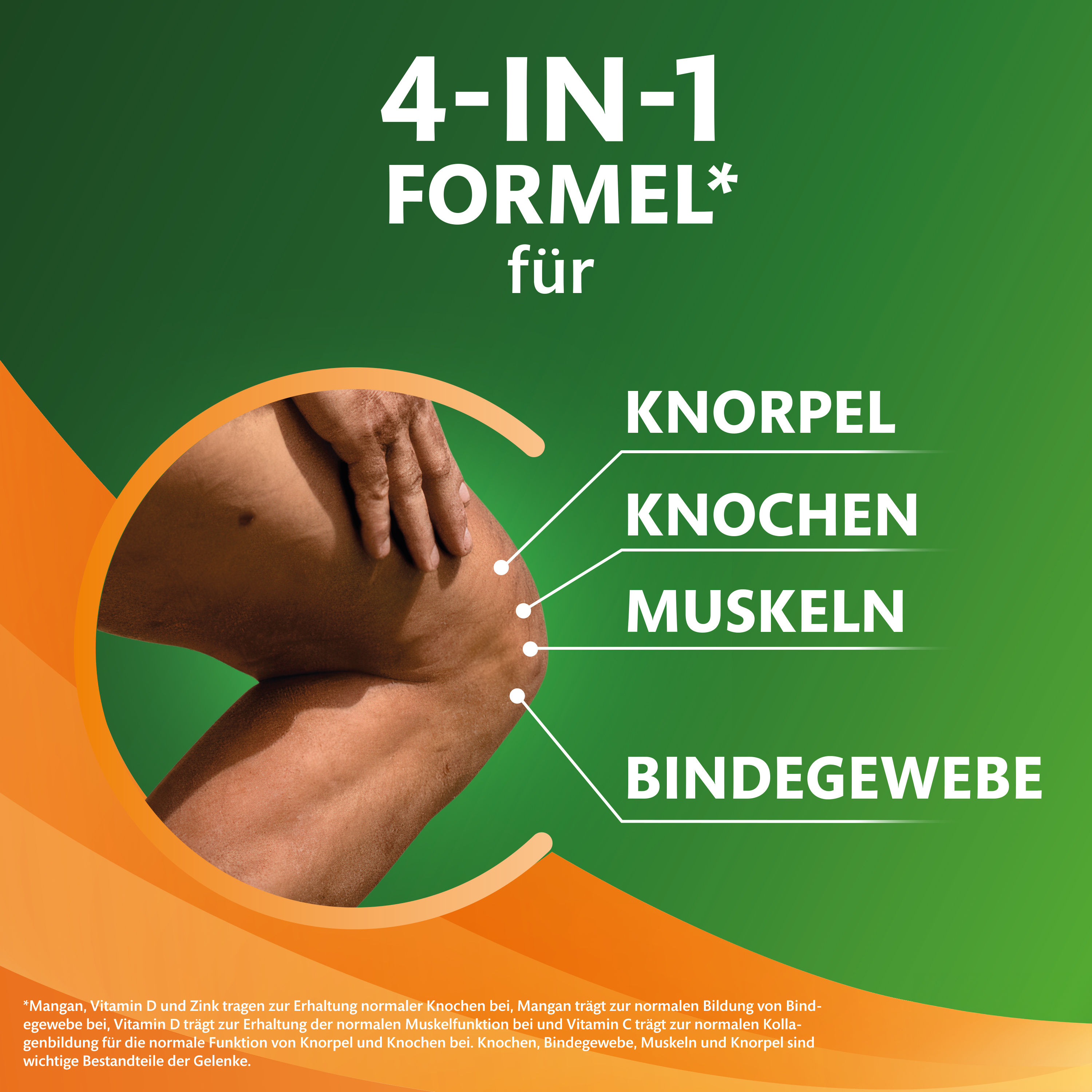 Grafik mit Knie und Text, der die 4-in-1-Formel für Knorpel, Knochen, Muskeln und Bindegewebe hervorhebt.