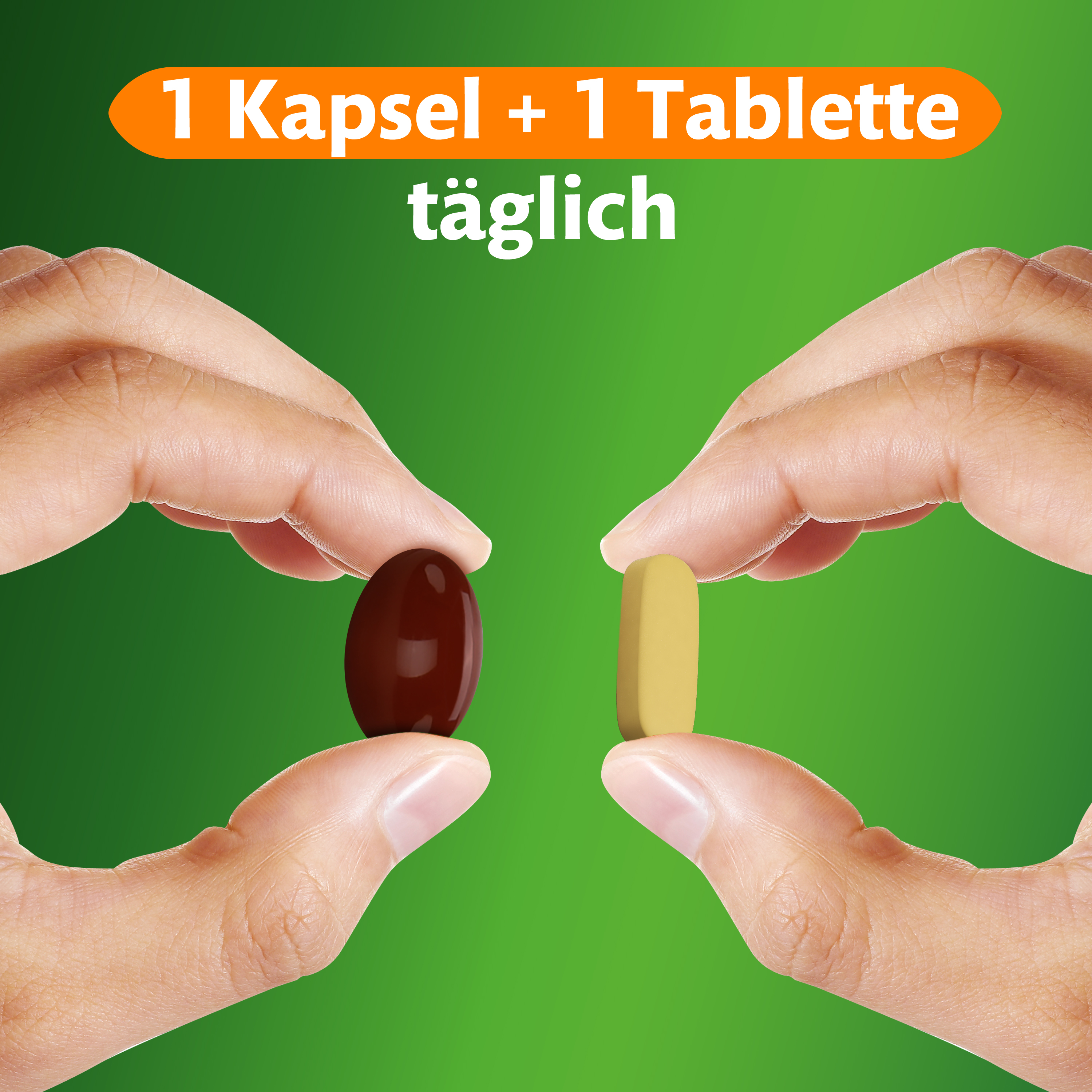 Hände halten eine braune Kapsel und eine gelbe Tablette, die täglich eingenommen werden sollen.