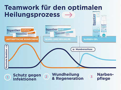 Grafik mit 3 Phasen der Wundheilung. Produkte: Antiseptische Wundcreme, Wund- und Heilsalbe, Narben-Gel.