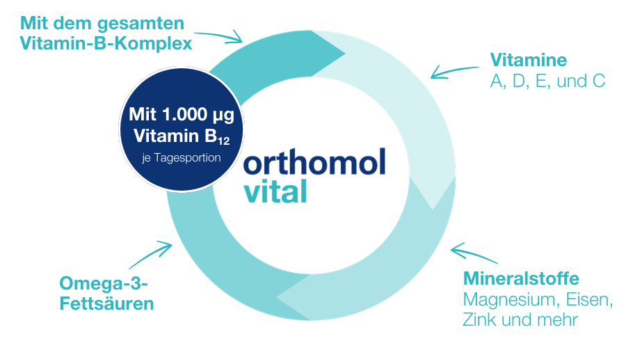 Grafik mit Vitamin-B-Komplex und orthomol vital. Text: Mit dem gesamten Vitamin-B-Komplex.