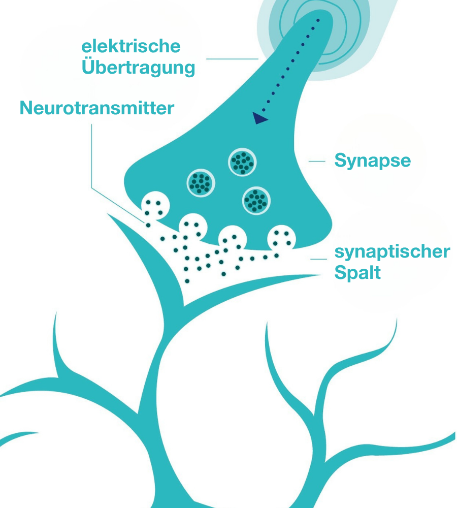 Grafische Darstellung einer Synapse. Beschriftungen: elektrische Übertragung, Neurotransmitter, synaptischer Spalt.